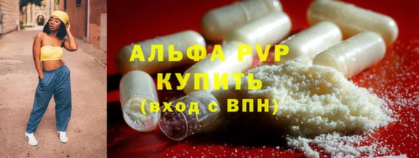 эйфоретик Корсаков